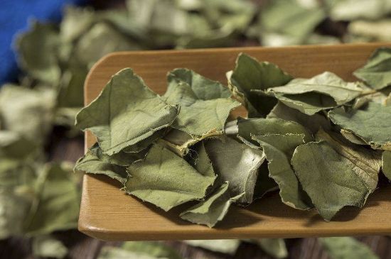 陳皮荷葉茶能減肥嗎，喝陳皮荷葉茶有什么效果？