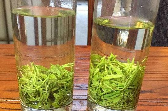 黃金茶的功效及禁忌癥，黃金茶有什么副作用嗎？