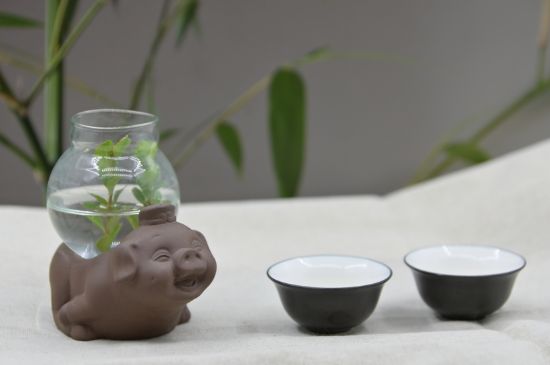 正確泡茶13個(gè)流程，新手從零開始學(xué)泡茶的步驟