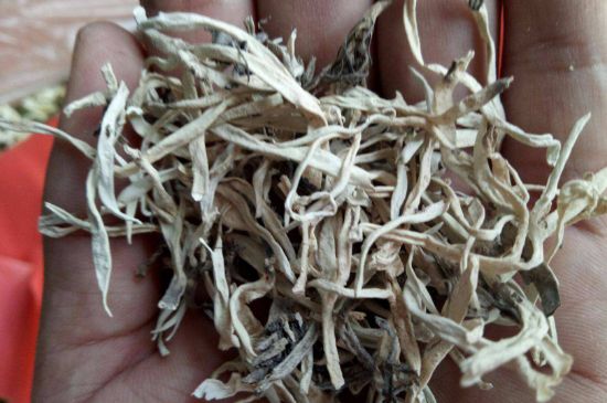 麗江雪茶的禁忌，白雪茶的副作用