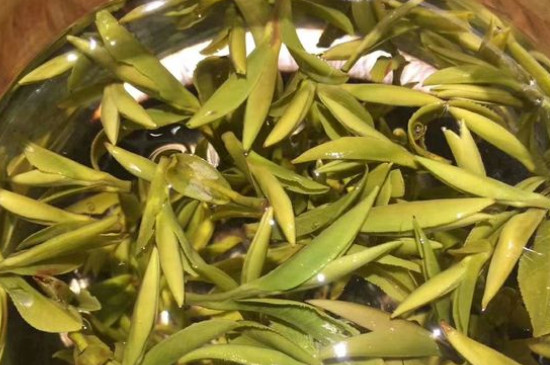 八大茶系都有哪幾種，八大茶系都是什么名字