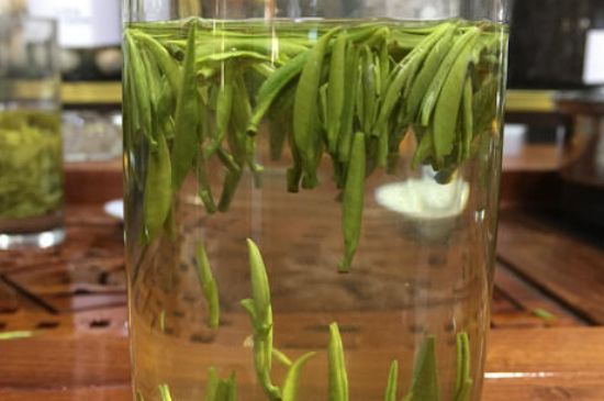 雀舌茶的副作用，雀舌茶什么人不能喝？