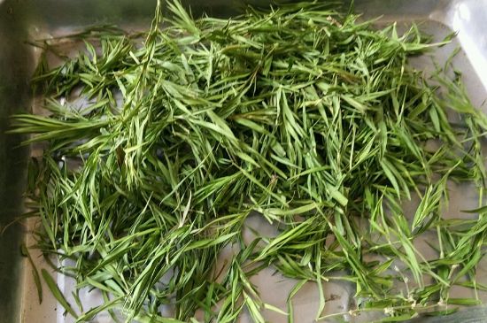 哪類人不適合喝石竹茶，石竹茶的功效與禁忌