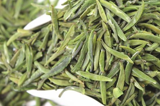 雀舌茶什么人不能喝，雀舌茶的功效與禁忌