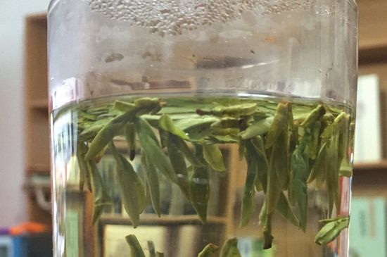 煮茶器能煮龍井嗎，龍井茶能不能用煮茶器圖