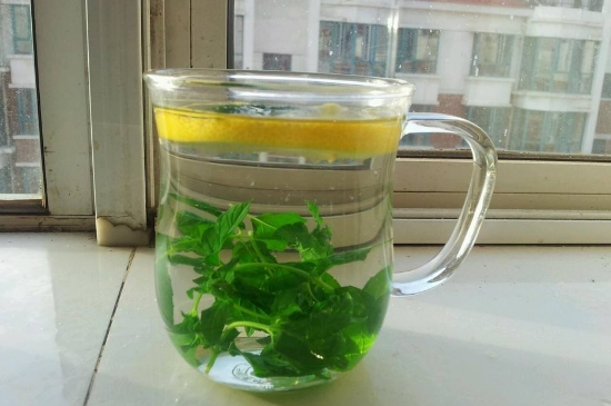 薄荷茶的功效與作用，喝薄荷茶有什么好處？
