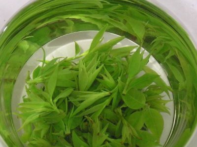 茶葉具有什么功效，茶葉的功效與作用大全