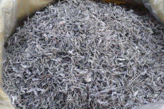 怎樣辨別莓茶發(fā)霉了，莓茶發(fā)霉和白霜的區(qū)別