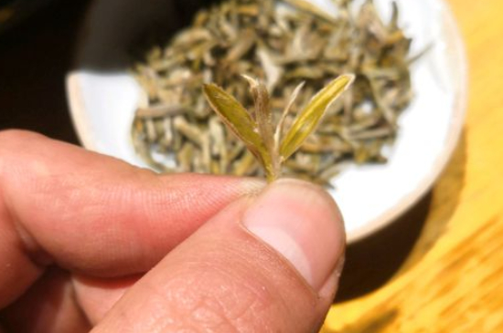 六大茶類(lèi)哪種適合長(zhǎng)期存放，日常如何保存方法一覽？