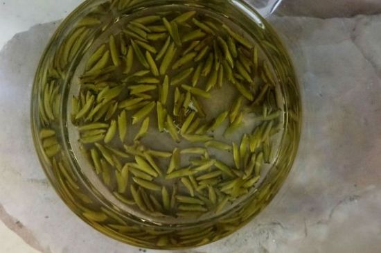 茶葉在哪里買比較好，哪里能買到好的茶葉