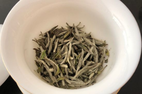春茶上市白茶的好壞怎么區(qū)分，春白茶怎么分辨好不好？