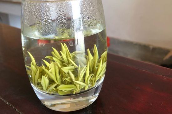 安吉白茶耐寒嗎，白茶適合放冰箱嗎