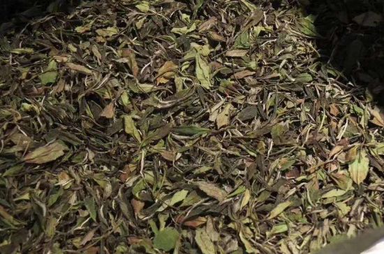 陳茶還是新茶好，茶葉是新茶好喝還是陳茶好喝