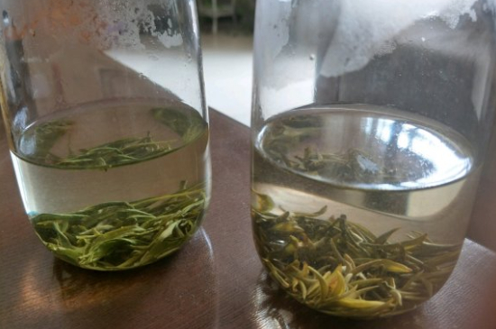 真假碧螺春泡水后區(qū)別，蘇州洞庭碧螺春怎樣鑒別好壞？