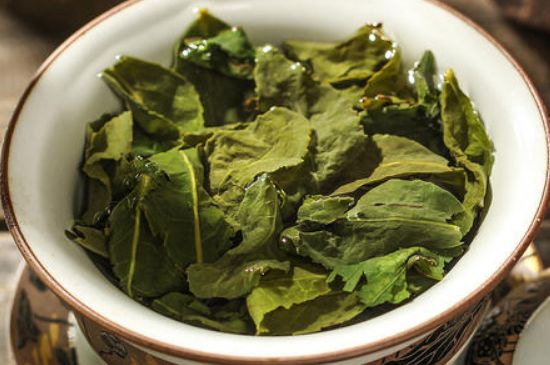 陳茶還是新茶好，茶葉是新茶好喝還是陳茶好喝