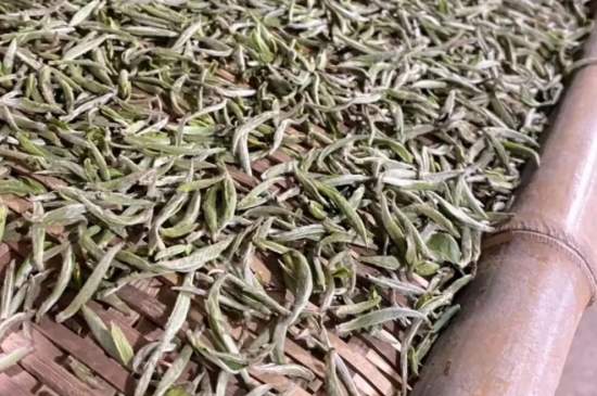 過期茶葉的八大妙用，過期的陳茶葉還能干什么用？