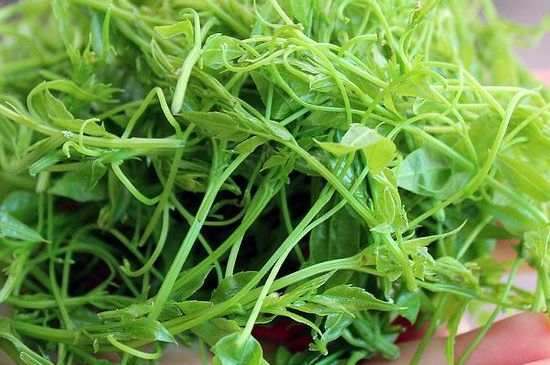 茅巖莓茶保質(zhì)期有多久，張家界莓茶存放時間長了還能喝嗎？
