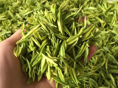 白茶品質(zhì)如何區(qū)分，白茶的優(yōu)劣質(zhì)量辨別方法