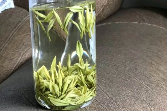 安吉白茶夏天怎么保存，安吉白茶能冷凍儲存嗎？