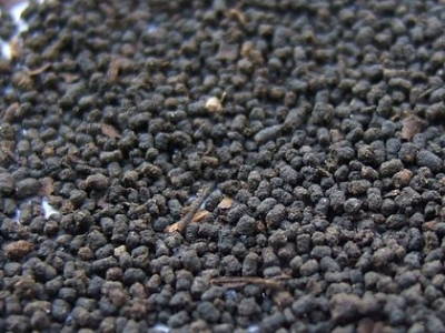 圓形顆粒狀茶是什么茶，像飼料一樣一粒粒的是什么茶？