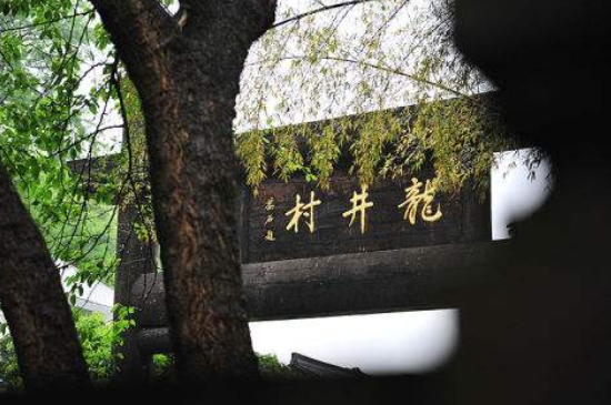 杭州買龍井茶攻略，怎么買到正宗的西湖龍井？