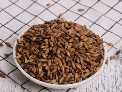圓形顆粒狀茶是什么茶，像飼料一樣一粒粒的是什么茶？