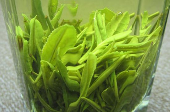 哪種茶葉可以放冰箱，哪些茶不能放冰箱？