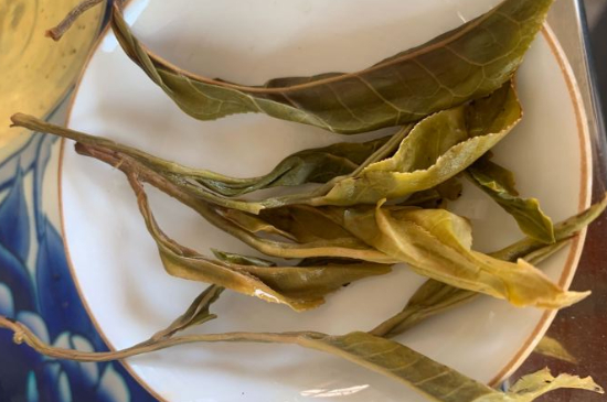 普洱茶十大學(xué)費茶排名，吉普H是學(xué)費茶？