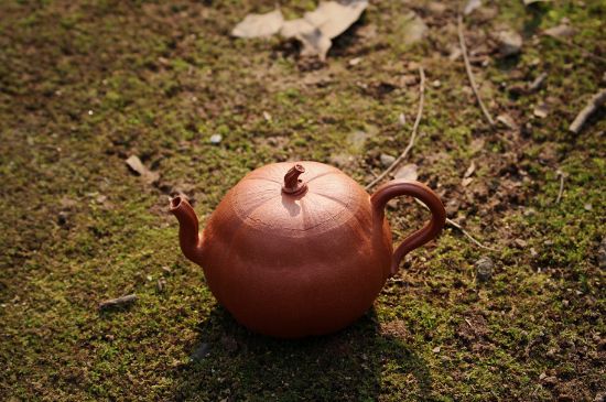 紫砂壺泡什么茶最佳，紫砂壺一般泡什么茶？