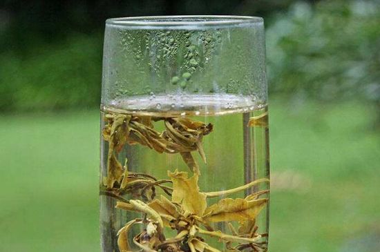 茉莉龍珠什么人不能喝，茉莉龍珠茶什么體質(zhì)不能喝？