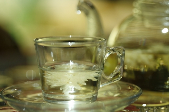 菊花茶天天喝行嗎，每天喝菊花泡茶喝好嗎？