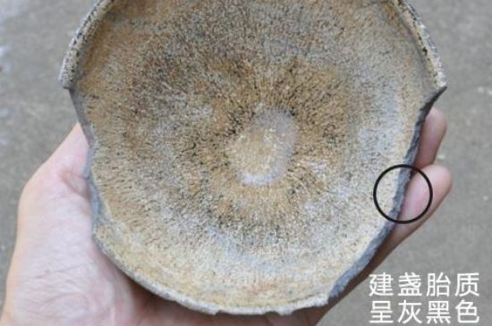 假建盞的特點(diǎn)，真假建盞區(qū)分帶圖