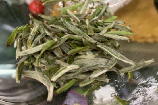 蒸汽煮茶器適合什么茶，蒸汽煮茶器適合用綠茶嗎？
