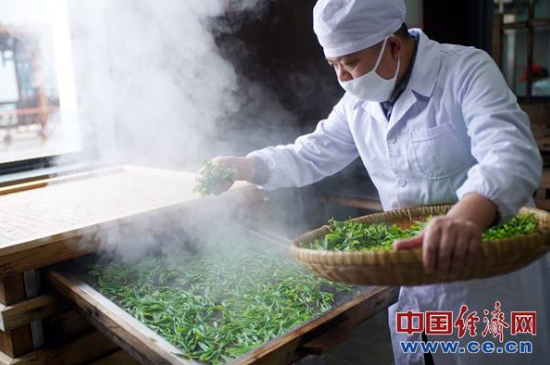 炒青綠茶與綠茶的區(qū)別，烘青和炒青哪個(gè)好喝？