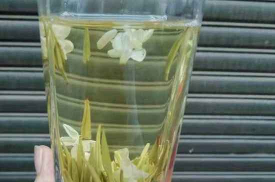 茉莉茶能天天喝嗎，茉莉花茶一周喝幾次