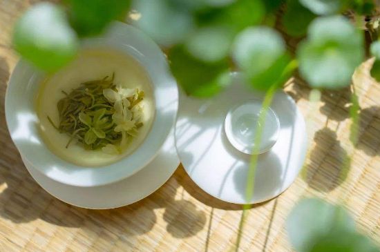 茉莉花茶6種人不要喝，什么體質不適合喝茉莉花茶？
