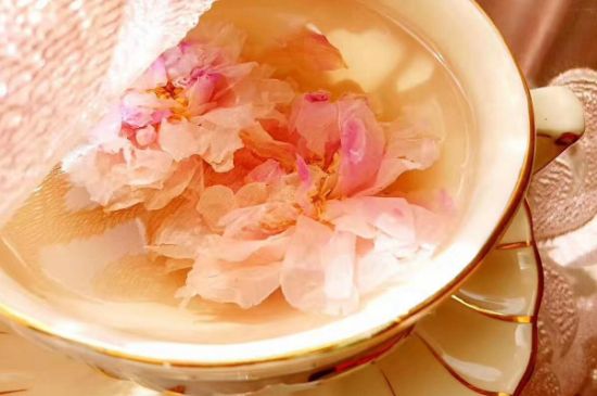 玫瑰花茶一周喝幾次，玫瑰花茶可以天天喝嗎？