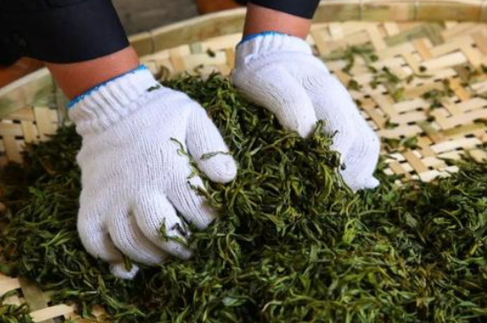 綠茶加工工藝流程圖，綠茶的加工制作包含哪幾個步驟？