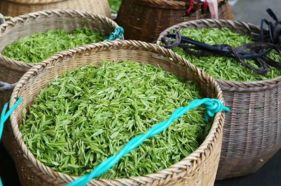 茶葉怎么炒制才香，怎樣炒茶葉更香？