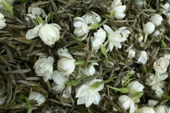 茉莉銀針口感，茉莉銀針是什么味道？