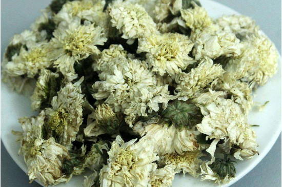菊花茶買小朵還是大朵，泡茶用的小菊花和大菊花哪個(gè)好