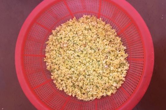 干桂花茶的制作方法，怎樣自制桂花茶？