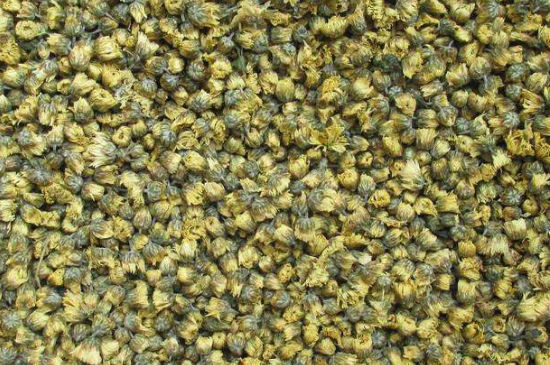 菊花茶大朵小朵有什么區(qū)別，菊花喝大朵還是小朵？
