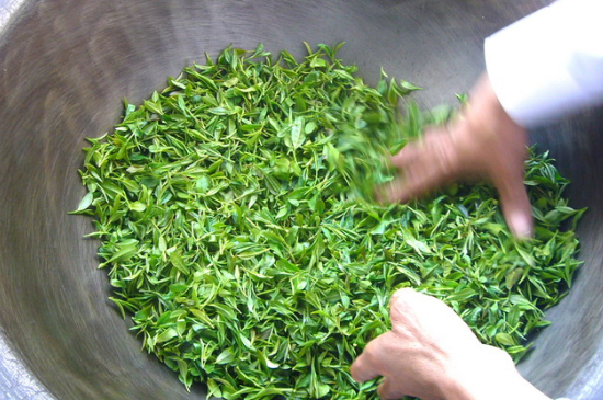 綠茶加工工藝流程圖，綠茶的加工制作包含哪幾個步驟？
