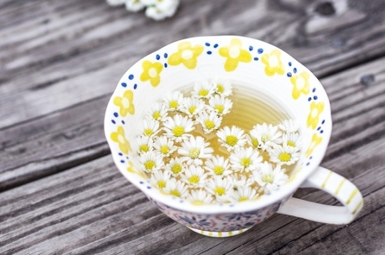 孕婦可以喝菊花茶嗎，菊花對胎兒有致畸作用？