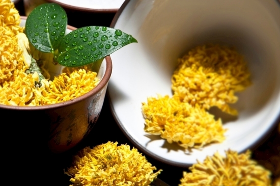 孕婦可以喝菊花茶嗎，菊花對胎兒有致畸作用？