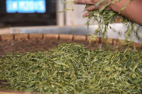炒青綠茶與綠茶的區(qū)別，烘青和炒青哪個(gè)好喝？
