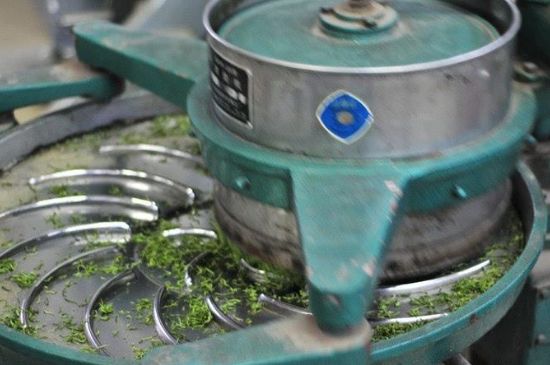武夷巖茶的初制、精制加工工藝詳細(xì)講解