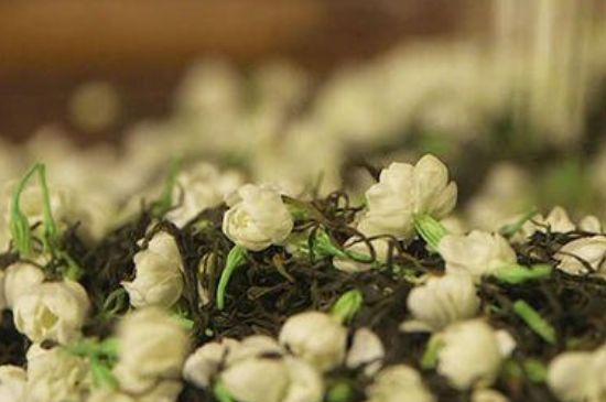 蒸茶器可以蒸花茶嗎，蒸茶器能用來蒸茉莉花茶嗎？