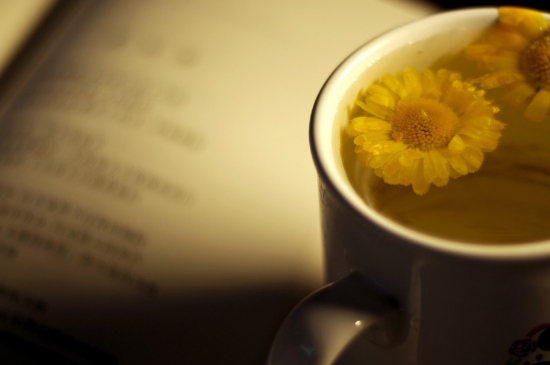 經(jīng)常菊花泡水好嗎，喝菊花茶有什么好處？